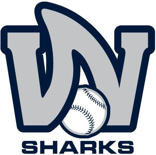 Wilmington Sharks 2006-2013 Primary Logo iron on heat transfer